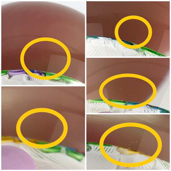 Perthshire PP47 1997 Lampwork Flower Wren Bird Picture Cane Lace LE Paperweight - Picture 11 of 11